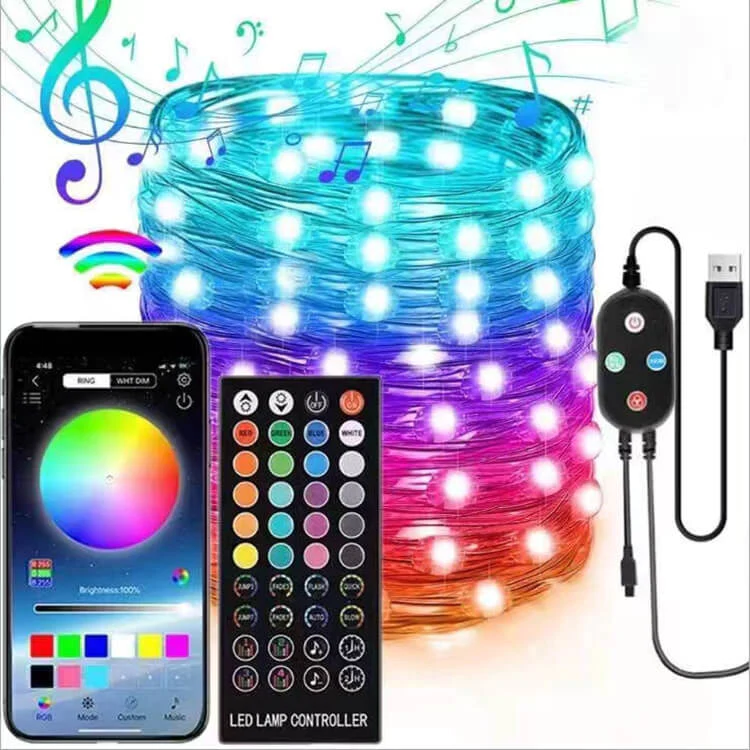 Smart Led Decoration Lights