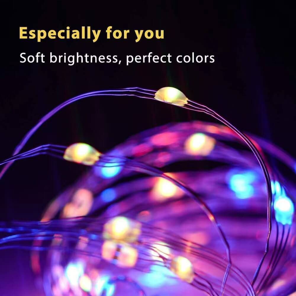 Smart Led Decoration Lights