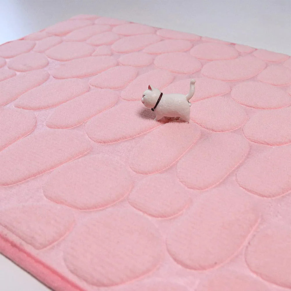 Non-slip Bathroom Mat