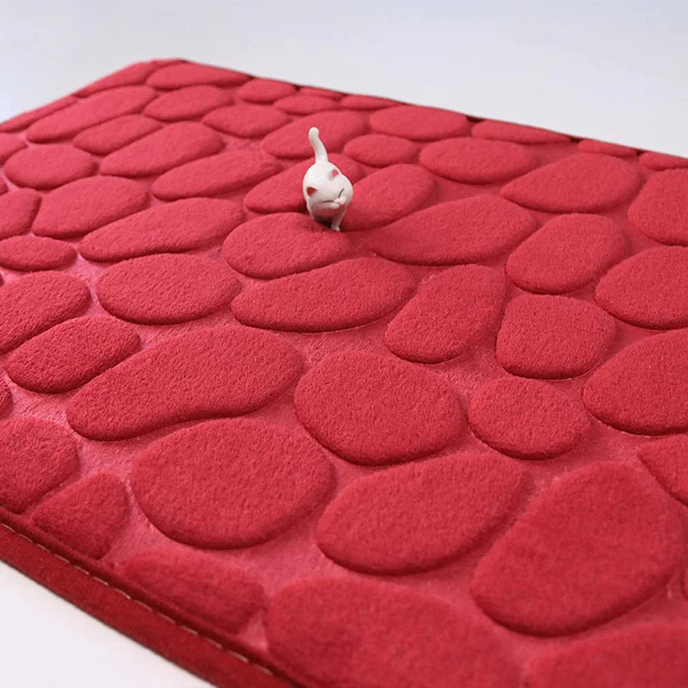 Non-slip Bathroom Mat