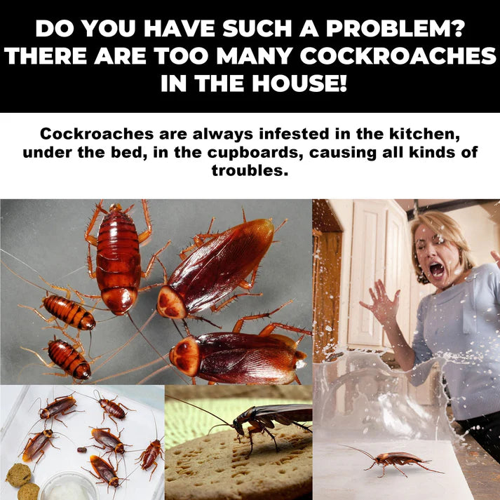 Cockroach baits