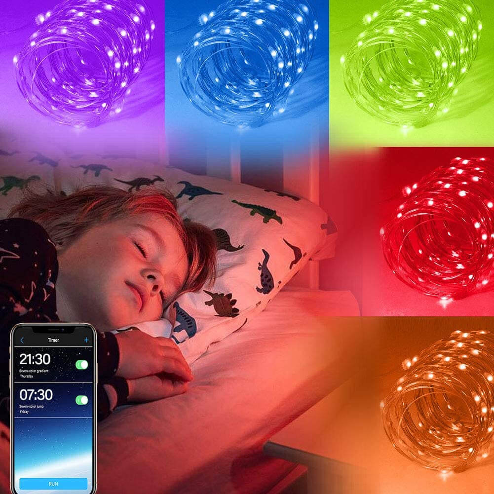 Smart Led Decoration Lights