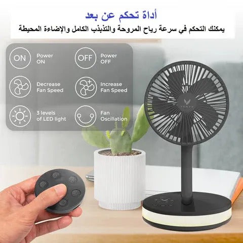 Folding Fan