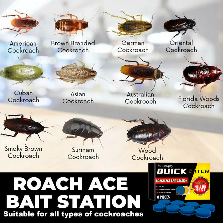 Cockroach baits