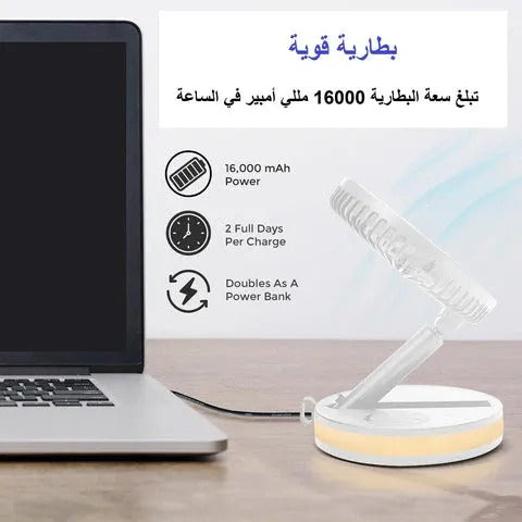 Folding Fan