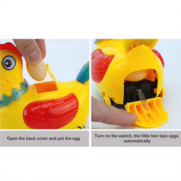 Chicken Lay Eggs