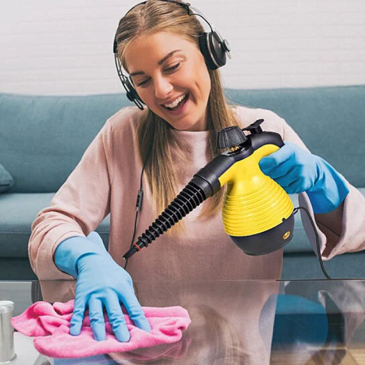 Multifunction Portable Steamer Household Steam Cleaner