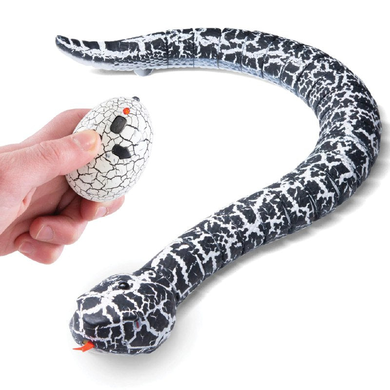Remote Controlled Snake