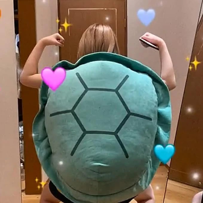 Turtle throw pillow