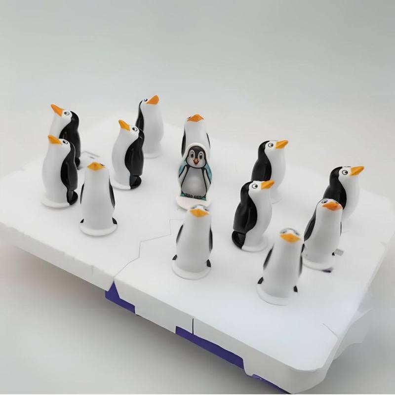 South Pole Adventure