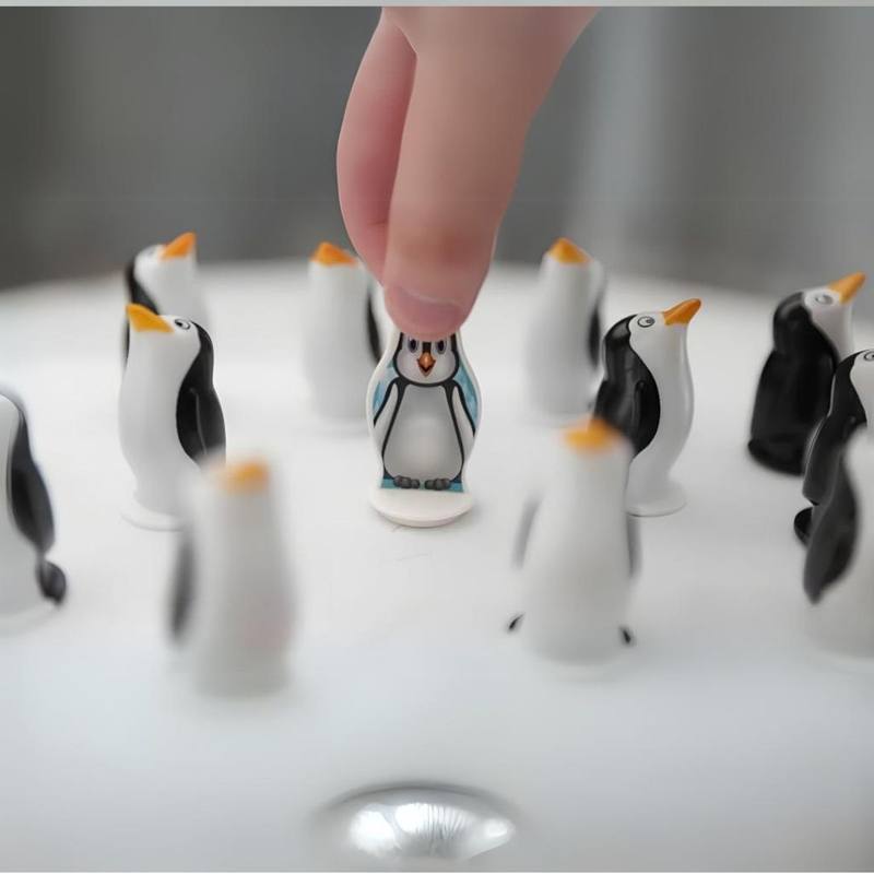 South Pole Adventure