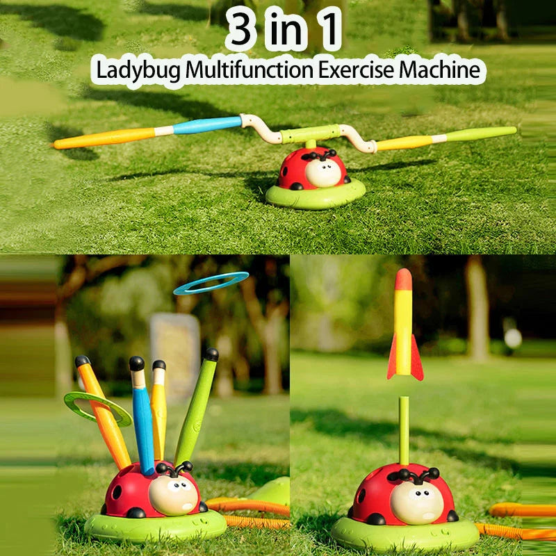 3-in-1 Ladybug Activity Machine