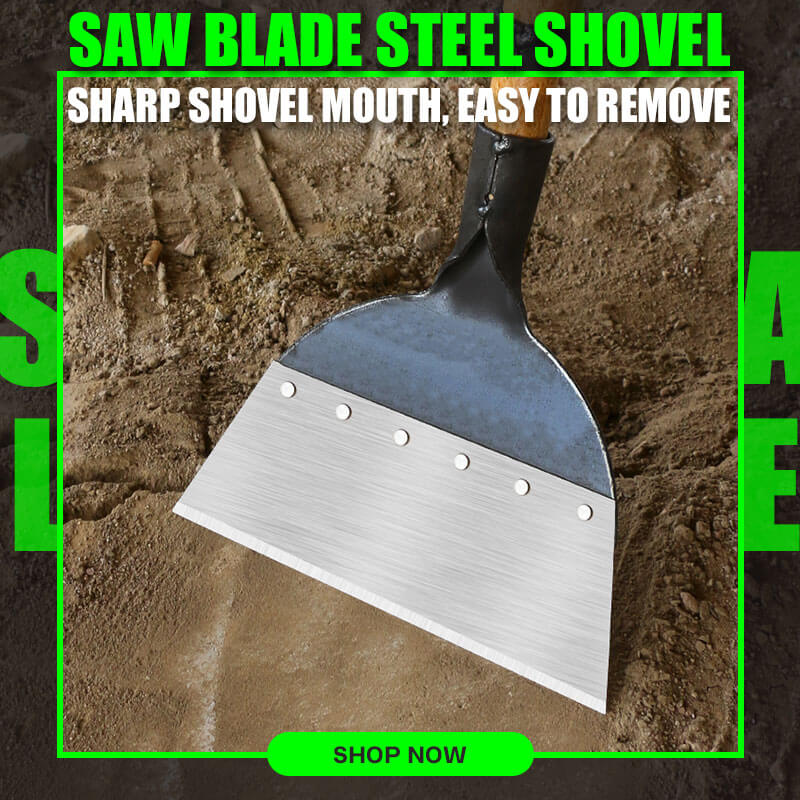 Cleaning Shovel