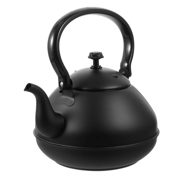 Teapot Boiling Water Kettle