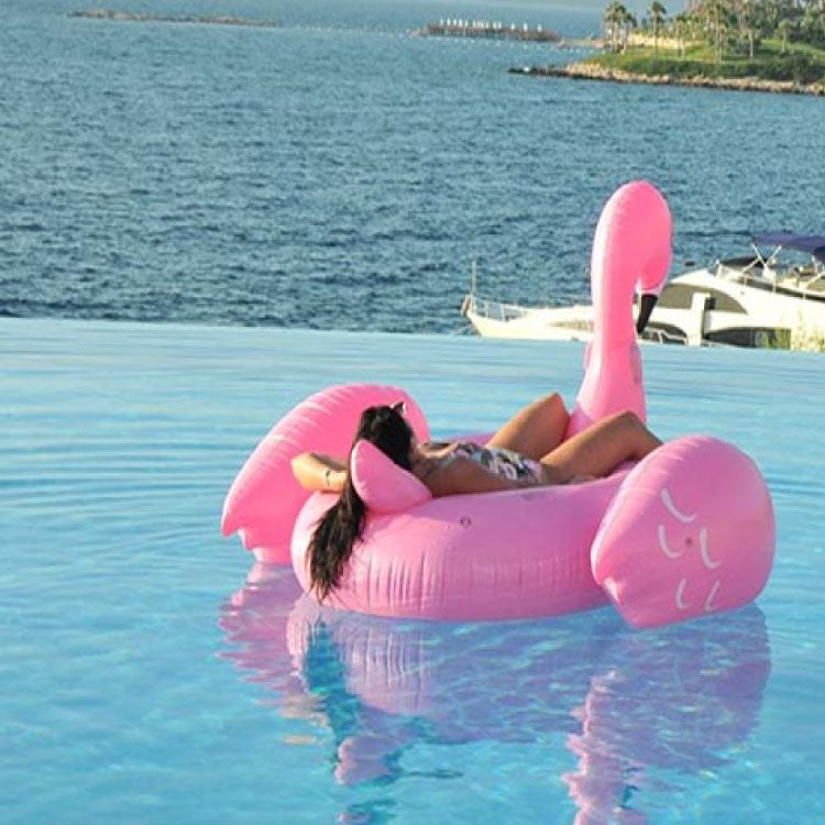 Giant Inflatable Flamingo