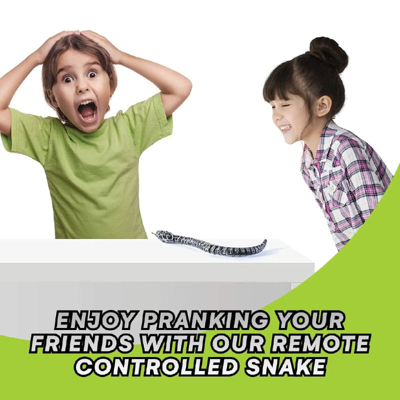 Remote Controlled Snake