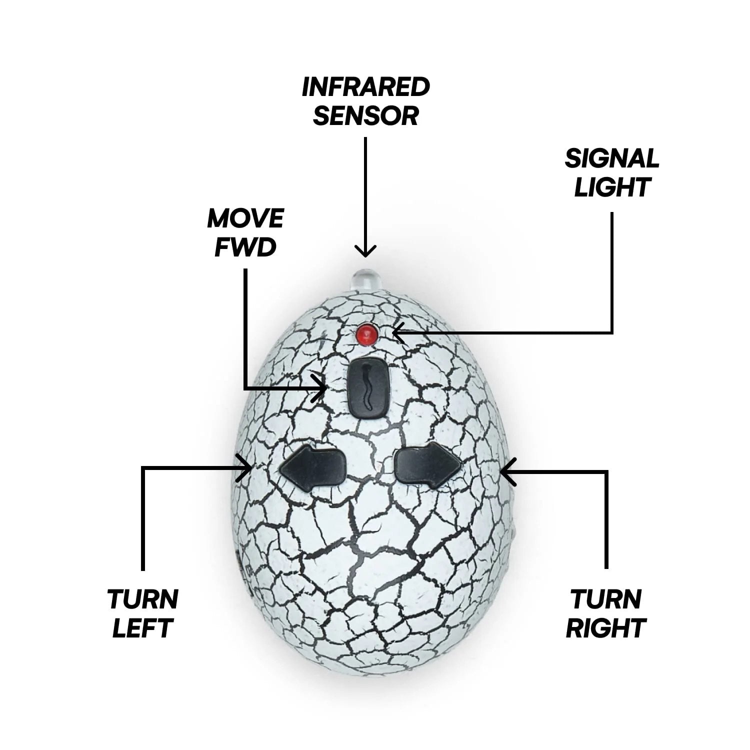 Remote Controlled Snake